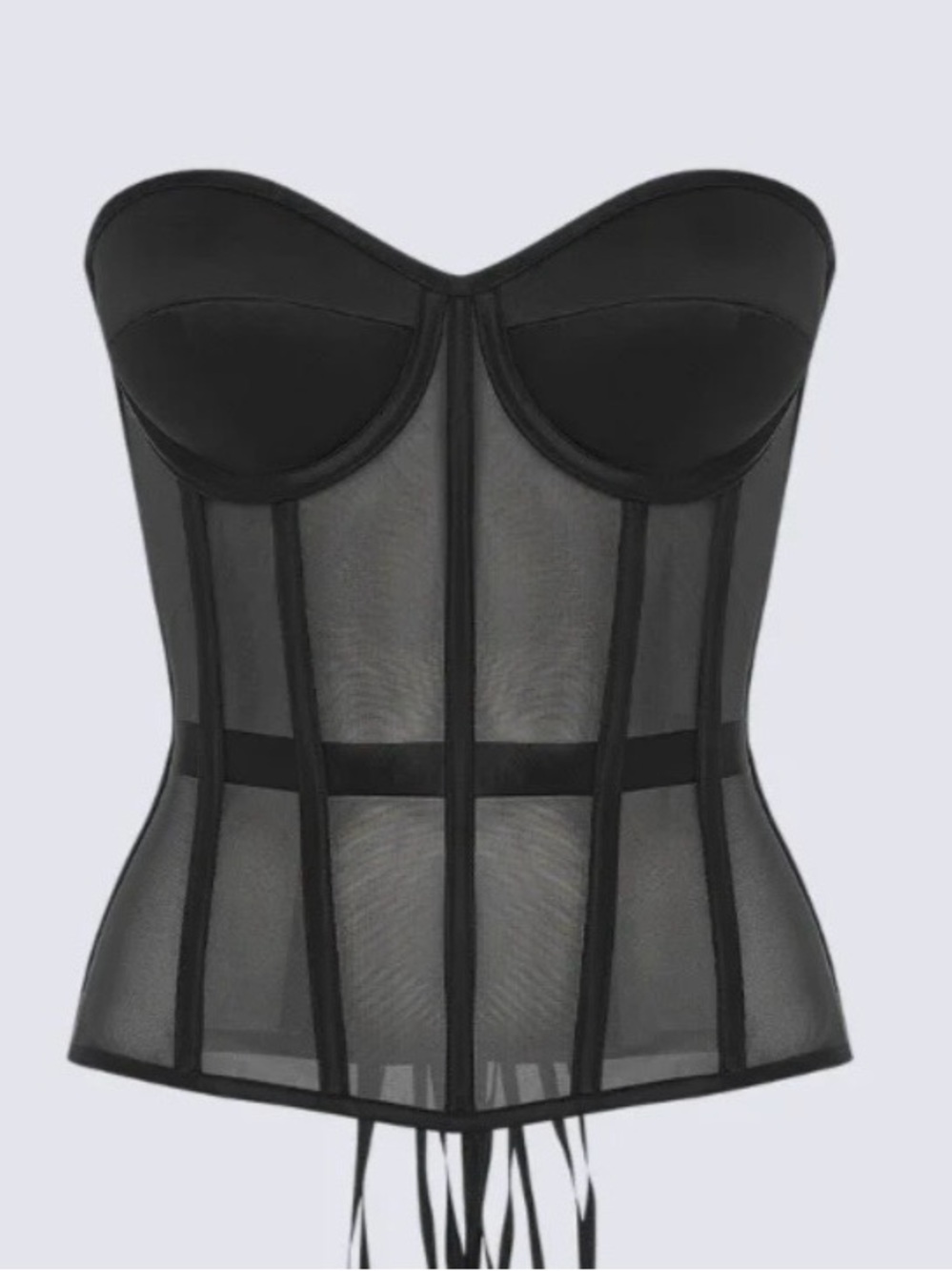 The Perfect Corset NYC Secret Form Black Sheer Boned Bustier Corset Large